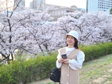 서울 잠실 석촌호수 4월 봄 꽃구경 벚꽃 명소 가볼만한곳
