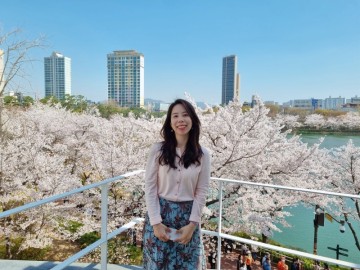 서울 가볼만한곳 벚꽃 명소 석촌호수 벚꽃축제