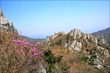 4월 가볼만한곳 꽃구경 암봉과 진달래 강진 주작산