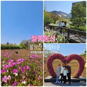 [서울]철쭉동산 "꽃놀이가자" 불암산힐링타운 철쭉현황