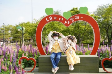 함평 나비축제 엑스포공원 아이와 가볼만한곳
