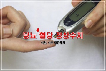 당뇨 초기증상 식후 정상수치, 당뇨병 주의사항