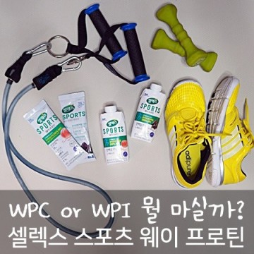 마시는 단백질 WPC WPI보충제 뭐가 좋을까?