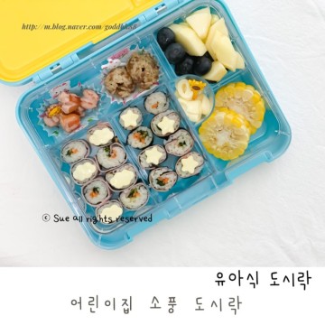 어린이집 소풍 도시락 : 김밥,아기 소고기 주먹밥,식빵롤