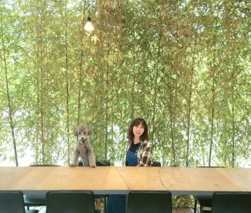 서울근교 가평 드라이브 애견동반카페 나무아래오후n2호점 에서 강아지들과 당충전 하고왔어요