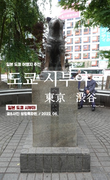 일본 도쿄여행 시부야, #1. 하치코 동상 & 스크램블 교차로