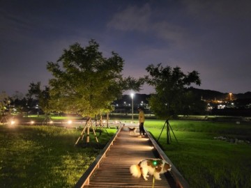 다산 여름 밤 산책하기 좋은 곳 수변공원