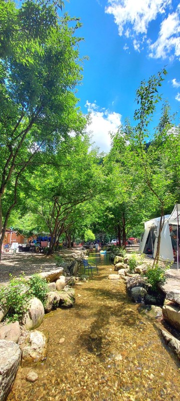 원주 숨숲아무르 - 캠핑과 물놀이를 동시에 즐길 수 있는 계곡카페, 물가애 캠핑장