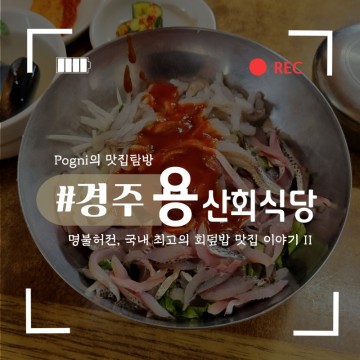 眞 경주 현지인 맛집 용산회식당 feat. 마법같은 초장의 회덮밥