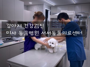 [하남 동물병원] 미사 동물병원 서서동물의료센터에서 강아지 건강검진하고 왔어요.