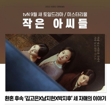 작은 아씨들 출연진 줄거리 정보 : 환혼 후속 9월 방영 tvN 토일 드라마