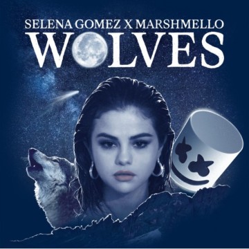 사랑을 찾는 여정 Selena Gomez, MarshMello - Wolves 중독성있는노래 신나는팝송 신나는노래추천 신나는노래 분위기있는음악 EDM추천 EDM모음 노래가사