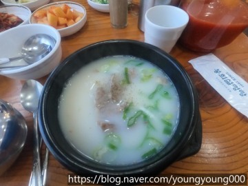 서울 여행 은평구 깍두기 맛집 봉희설렁탕