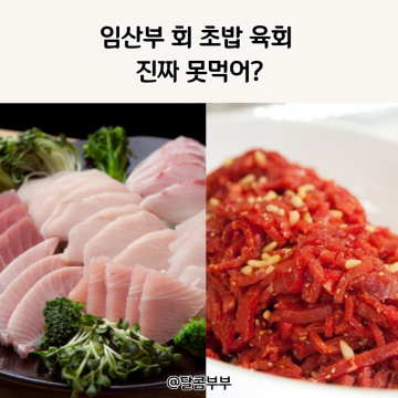 임산부 회 초밥 육회 진짜 못먹어?