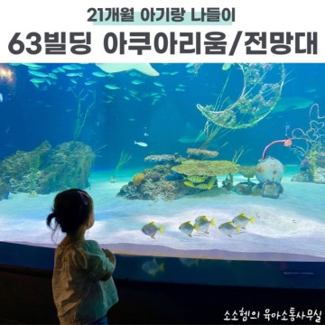 서울 두돌 아기랑 63빌딩 아쿠아리움/ 전망대: 에릭요한슨 사진전