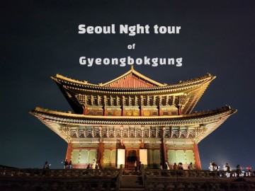 서울 가볼만한곳, 경복궁 야간개장 투어 후기