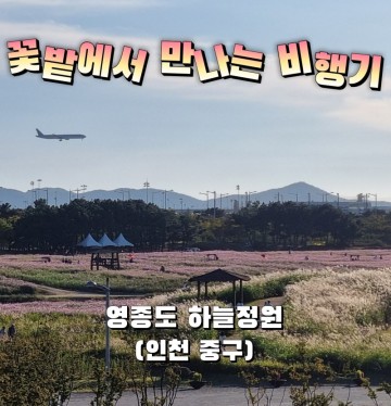 [외출기록] 꽃밭에서 만나는 비행기 - 영종도 하늘정원 (인천 중구)