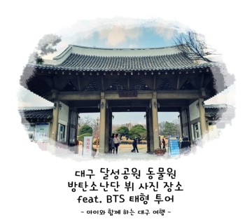 대구 여행! 대구 달성공원 동물원 방탄소년단 뷔 사진 장소 feat. BTS 태형 투어