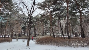 새해 첫 함박눈 내린 날 서울 설경, 장충단공원에서  - 서울 역사 문화 나들이 명소,  가볼 곳