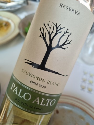 홈플러스 가성비 와인! Palo Alto Sauvignon Blanc 2020(팔로 알토 쇼비뇽 블랑 2020)