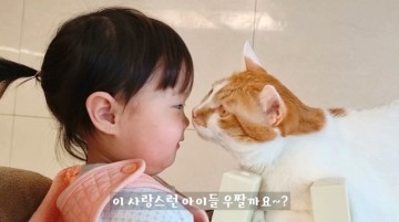 육아만렙 고양이♥ 아기랑 고양이 함께 키우기 참 쉽죠잉!