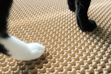 [고양이용품] 고양이 화장실 친구(?), 엘리샤펫 모래매트