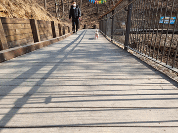 강아지와 등산하기 좋은 인천 남동구 만수산 무장애 나눔길 추천