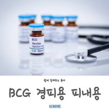 신생아 예방접종 BCG 경피용 피내용 가격, 차이점