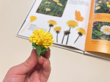 한 방법으로 세 가지 꽃과 나무 만들어 보기 : 블루래빗 new생생자연관찰