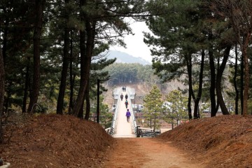 경기도 시흥 옥구공원에서 곰솔누리숲을 걸어보자