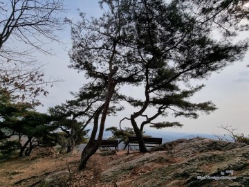 서울 근교 등린이 초보 등산 코스 파주 월롱산(솥우물 ~ 정상 )