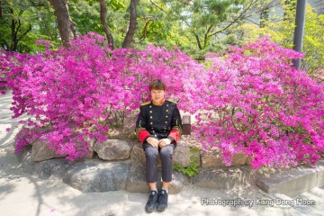 서울 가볼만한곳 봄 꽃구경 명소 4월 야외 사진찍기좋은곳 서울 데이트 코스 덕수궁