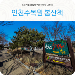 인천 갈만한곳 따뜻한 봄 나들이 장소 인천수목원