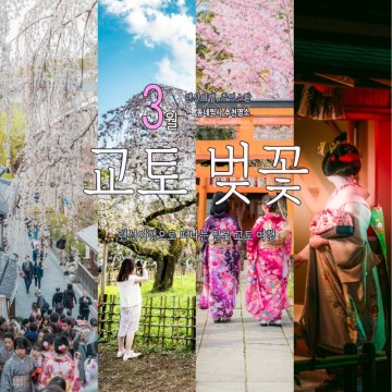[일본 랜선 여행]_벚꽃이 아름다웠던 일본 교토 출사 이야기