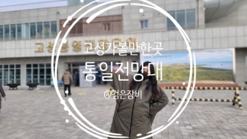 강원도 고성 통일전망대 전망타워 가족여행!! (feat. 출입신고서, 북한술, 들쭉술)