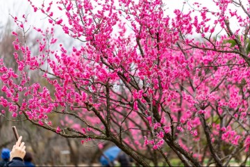 대전 3월에 가볼 만한 곳 봄 여행지 한밭수목원 산책로