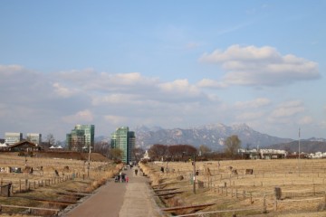 '하늘과 맞닿은 초원' 하늘공원 _ 서울 상암동 하늘공원 산책
