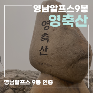 영남알프스9봉 영축산 최단코스 (지산마을-취서산장-정상)