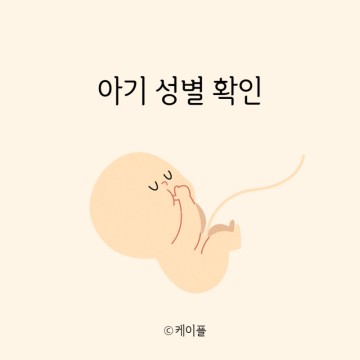 태아 성별 확인 시기 - 12주 각도법 아들 삼각점