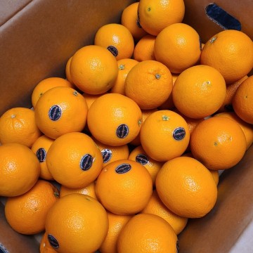 오렌지 까는법 자르는법 보관법 오렌지껍질로 전자레인지 잡내 제거 청소까지!
