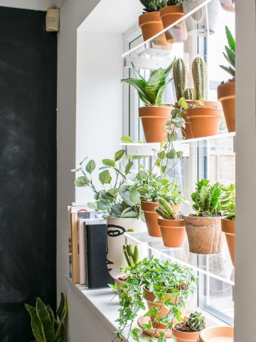 식물 화분 선반 만들기, 공간활용 창문 인테리어