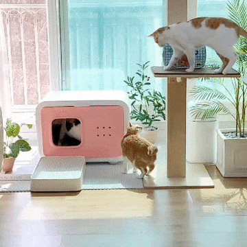 고양이화장실 UV살균 공기청정되는 <캣토르> 똥내해방 집사템!