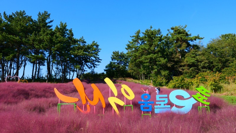 전북 가볼만한곳 : 익산 핑크뮬리 신흥근린공원, 중앙체육공원