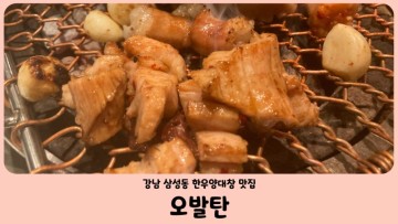 삼성중앙역 맛집 오발탄 삼성점 (특양구이, 한우대창구이)