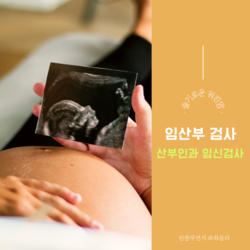 산부인과 임신 산전검사, 임산부 검진 확인하기