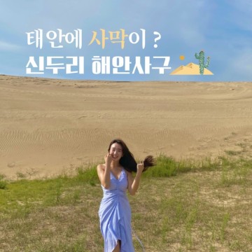 태안 관광지 신두리 해안사구 - 한국에 사막이?