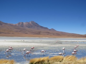 남미 여행 볼리비아 우유니 소금 사막 2박3일 투어