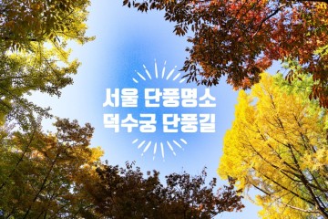 서울 단풍명소 10월 가을 데이트코스 추천 덕수궁 돌담길 단풍길 산책하기 좋아요 [정동 문화축제]
