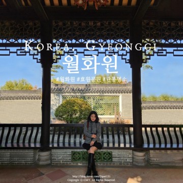 서울 근교 드라이브하기 좋은 수원 효원공원 월화원 중국 전통공원 (사진 찍기 좋고, 단풍 명소예요)