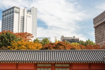 서울가볼만한곳, 서울 여행 명소 덕수궁에 찾아온 가을 단풍